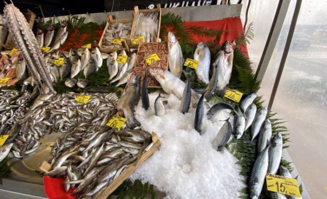 Sakarya ve Zonguldak'ta soğuk hava balık fiyatlarını arttırdı
