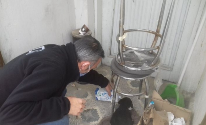 Sakarya'da polis, üşüyen köpek yavrusunu ekip otosunda ısıttı