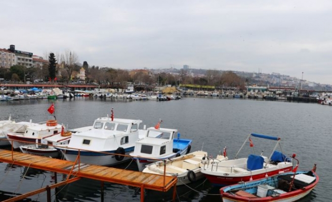 Tekirdağlı balıkçılar Marmara'ya açılmak için deniz salyasının bitmesini bekliyor