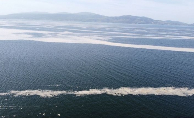 Marmara Denizi'nin birçok noktasına yayılan “deniz salyası“ Bandırma Körfezi'ni de kapladı
