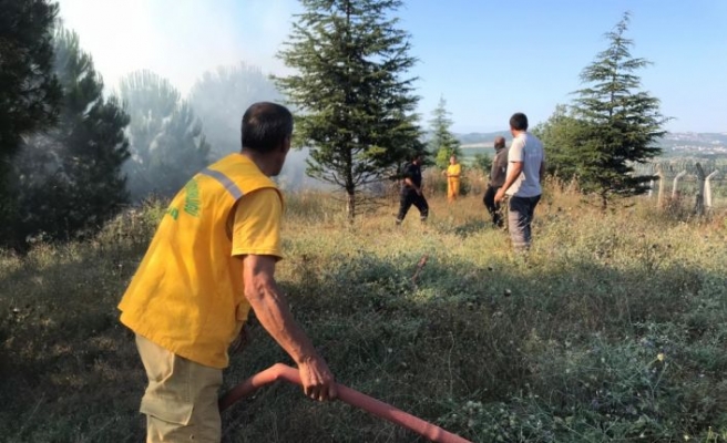 Bursa'da ormanlık alanda çıkan yangına müdahale ediliyor
