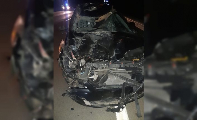 Edirne'de otomobil mandaya çarptı: 3 yaralı