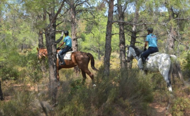 Balıkesir'de jandarmanın atlı timleri yangına karşı denetimlere destek veriyor