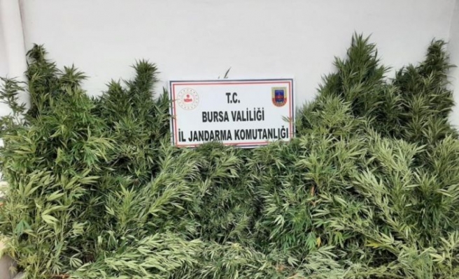 Bursa'da düzenlenen uyuşturucu operasyonunda 2 şüpheli yakalandı