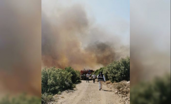 Çanakkale'nin Ezine ilçesinde ormanlık alanda çıkan yangına müdahale ediliyor
