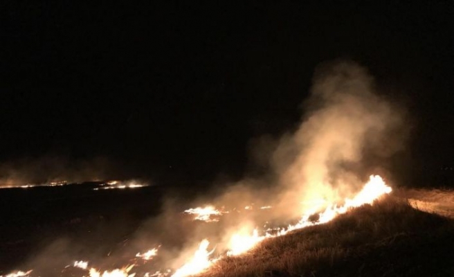 Edirne'de anız yangının sıçradığı ayçiçeği tarlaları zarar gördü