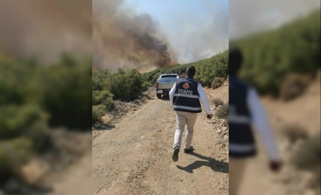 GÜNCELLEME - Çanakkale'nin Ezine ilçesindeki orman yangını söndürüldü