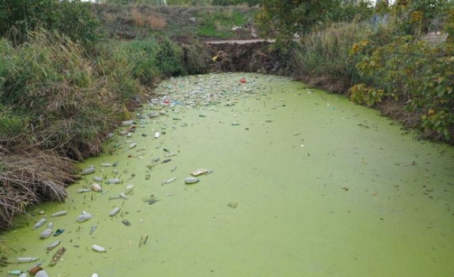 Edirne'de kirlilikle gündeme gelen tahliye kanalında inceleme yapıldı