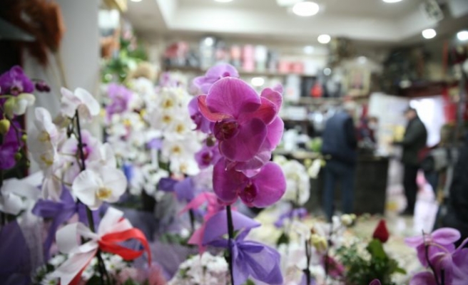 Sakarya'daki çiçekçilerde 14 Şubat Sevgililer Günü mesaisi