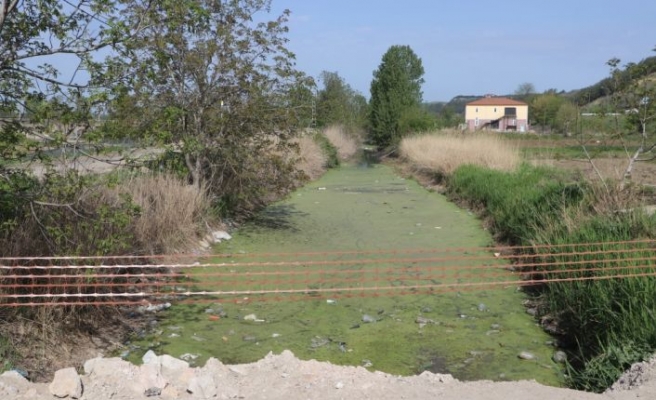 Vatandaşlar kirlilik görülen su tahliye kanalının temizlenmesini istiyor