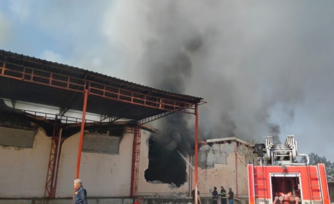 Kırklareli'nde mobilya fabrikasında yangın çıktı