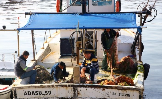 Tekirdağ'da ağlara takılmaya başlayan tekir balıkçıları umutlandırdı