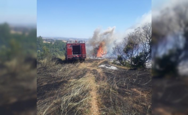 Çıkan yangında 2 hektar ormanlık alan zarar gördü