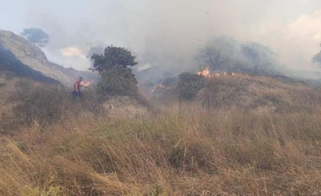 Edirne'de ormanlık alanda çıkan yangın söndürüldü