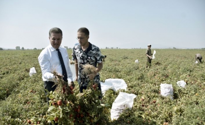 TDP Genel Başkanı Sarıgül, Karacabey'de domates üreticileriyle bir araya geldi: