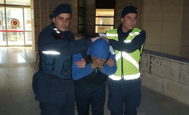 Balıkesir'de zeytin hırsızlığı yapan 18 şüpheli tutuklandı