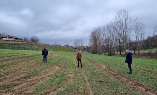 Kırklareli'nde yerli hububat tohum çeşitleri toprakla buluşturuldu