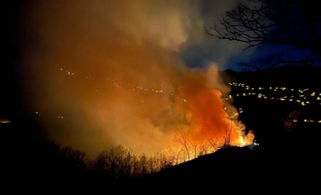 Sakarya'da ormanlık alanda kontrol altına alınan yangın yeniden başladı