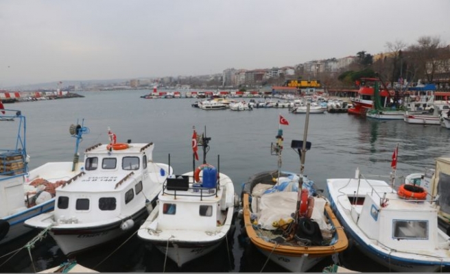 Tekirdağlı küçük tekne balıkçıları karides, dil ve pisi balığı için Marmara'ya açılacak