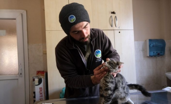 Sakarya Büyükşehir Belediyesi veterinerleri Hatay'da “can dostlar“ın yarasını sarıyor