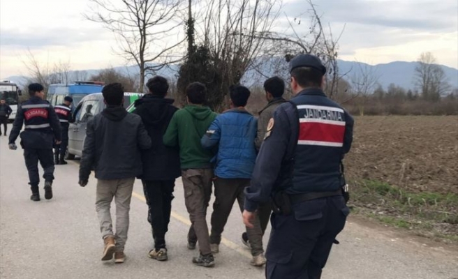 Sakarya'da 7 düzensiz göçmen yakalandı
