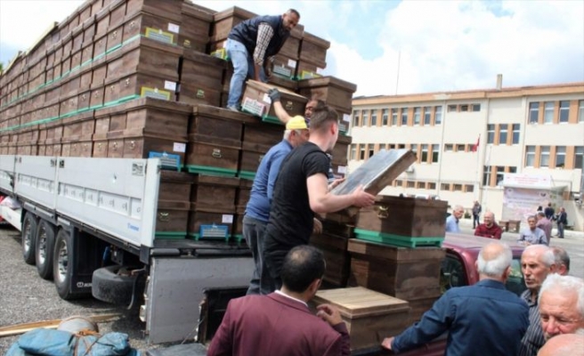 Kırklareli'nde 156 arı üreticisine 1400 kovan dağıtıldı