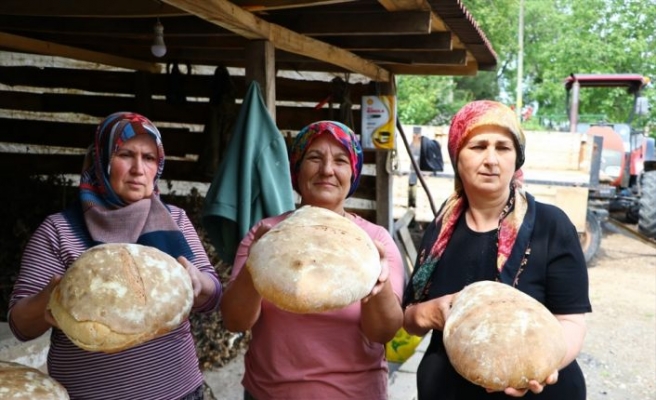 Tekirdağ'da kadınlar taş fırında pişirdikleri köy ekmeğiyle aile bütçesine katkı sağlıyor