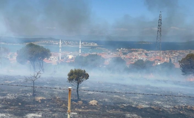 Balıkesir'de yerleşim yerlerine yakın otluk alanda çıkan yangına havadan müdahale edildi