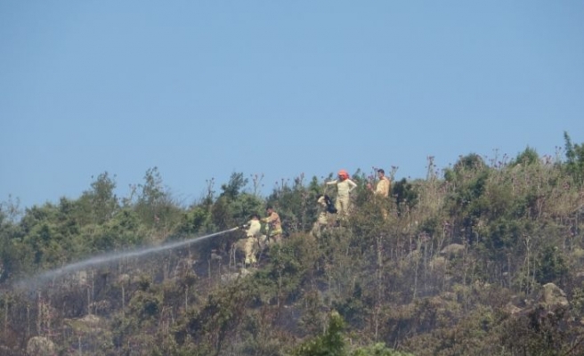 Çanakkale’de makilik alanda çıkan yangın zarara yol açtı