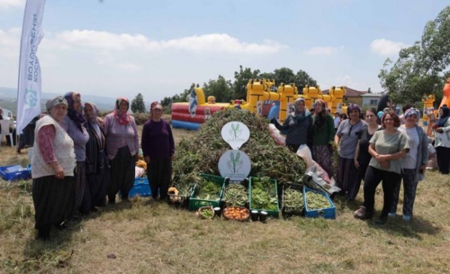 Kocaeli'de kadın çiftçilerin hibe desteğiyle yetiştirdiği arakanın hasadı yapıldı