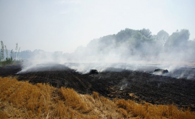 Edirne'de tarlada çıkan yangında 250 saman balyası yandı