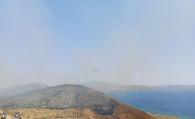 Avşa Adası'ndaki arazide çıkan yangın kontrol altına alındı