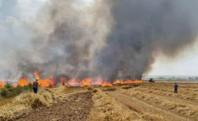 Tekirdağ'da 12 dönüm buğday ekili alan yangında zarar gördü