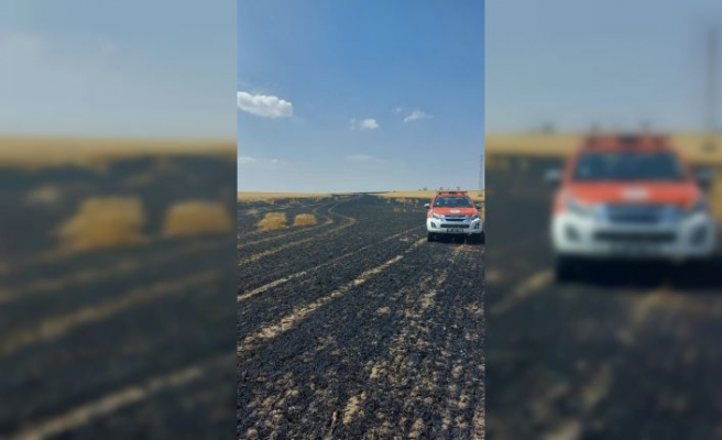 Tekirdağ'da buğday ekili tarlada çıkan yangında 15 dönüm alan zarar gördü