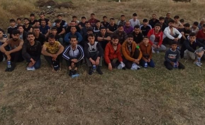Bulgaristan'a yasa dışı geçiş yapmak isteyen 64 düzensiz göçmen ormanlık alanda yakalandı