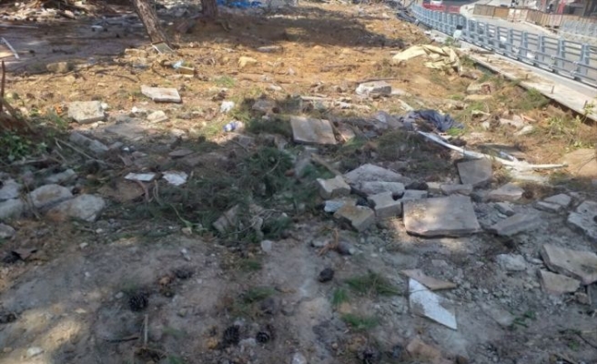 İBB tarafından yapılan Maltepe Meydan Projesi kapsamında 17 çam ağacı söküldü