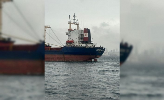 Komoros bayraklı kargo gemisi Maltepe açıklarında karaya oturdu