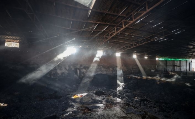 Çanakkale'deki orman yangınında bir çiftlik zarar gördü