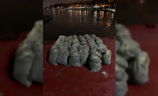 İstanbul'da yasak bölgede midye avcılığı yapan 3 şüpheliye para cezası verildi
