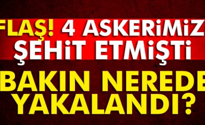 4 askeri şehit eden örgüt üyesi İstanbul'da yakalandı