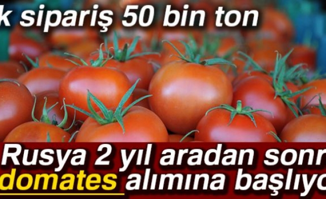 50 bin ton Türk domatesi için açılıor!