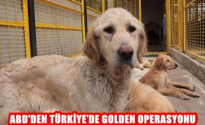 ABD'den Türkiye'de Golden Operasyonu