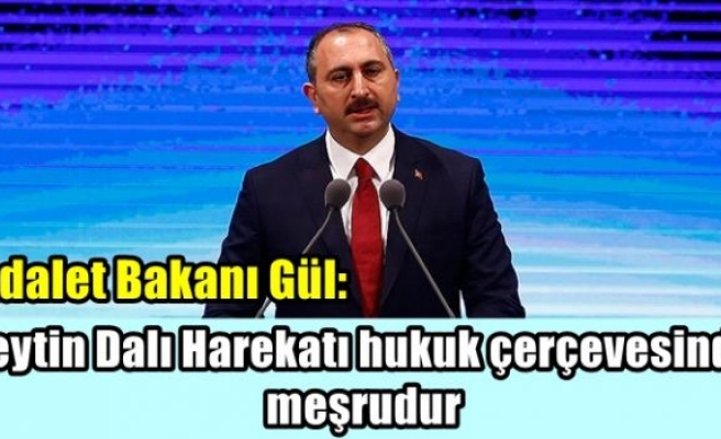 Adalet Bakanı Gül: Zeytin Dalı Harekatı hukuk çerçevesinde meşrudur