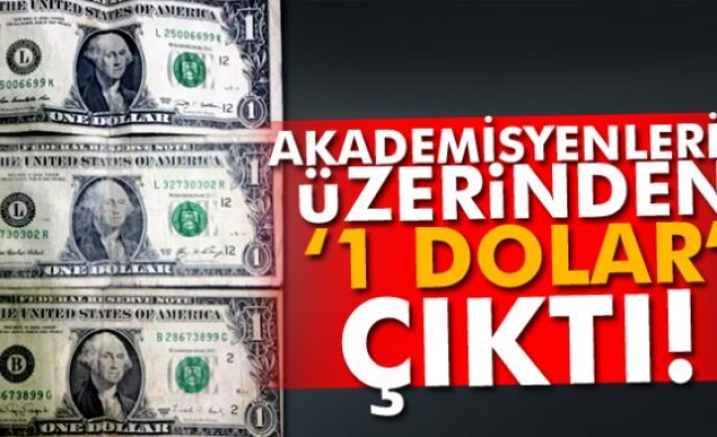 Adana'da akademisyenlerin üzerinden '1 dolar' çıktı
