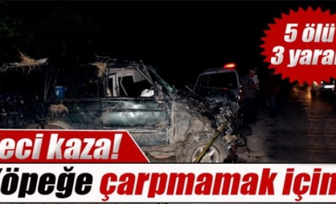 Adana'da feci kaza: 5 ölü,3 yaralı