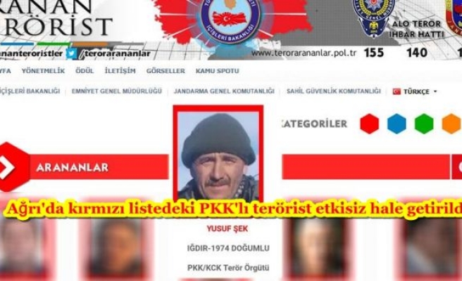 Ağrı'da kırmızı listedeki PKK'lı terörist etkisiz hale getirildi
