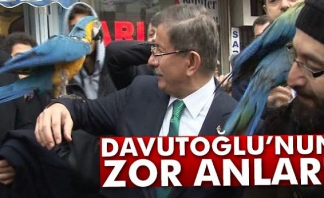 Ahmet Davutoğlu'nun papağan ile zor anları