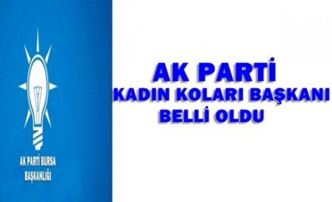 AK Parti Kadın Kolları başkanı belli oldu