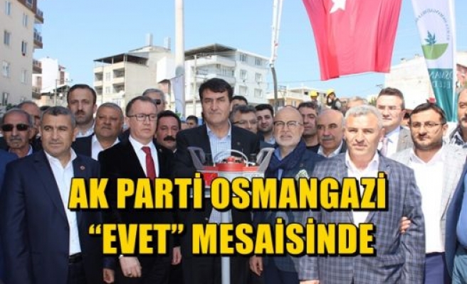Ak Parti Osmangazi 