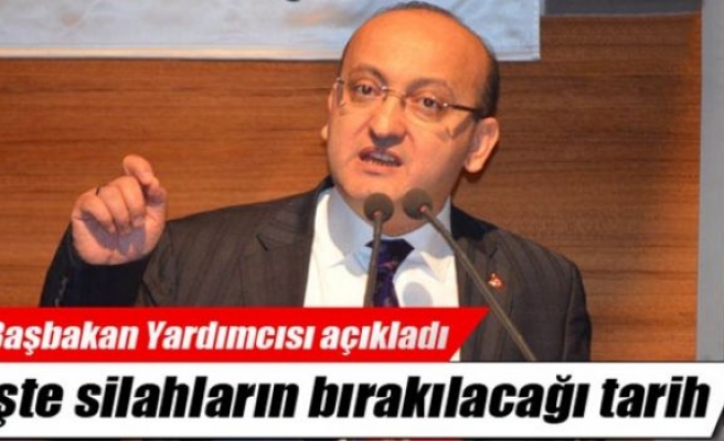 Akdoğan: 'Çözüm süreci Nevruz’da...'
